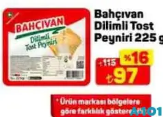 BAHÇIVAN 225 G